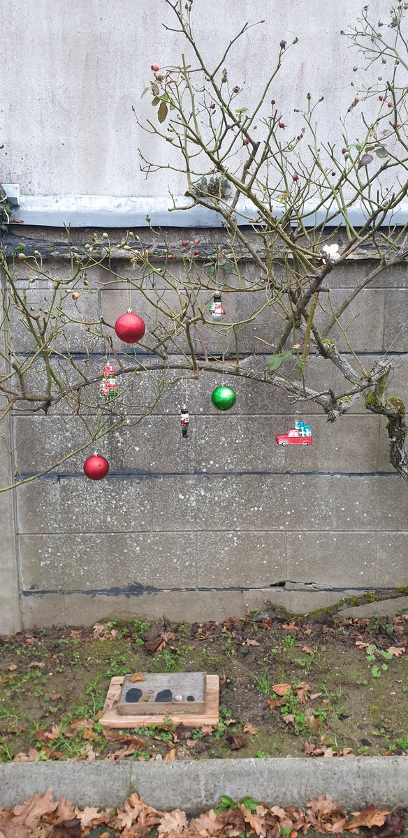 jerrybacca.bsky.social tweet media