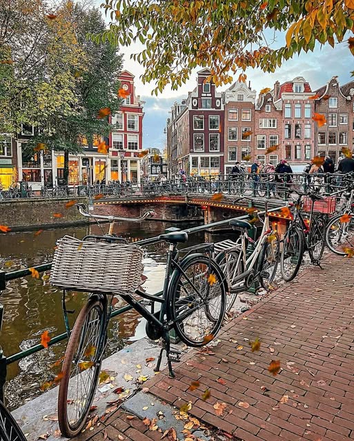 ALAA_ALDMNHORY's tweet photo. Exploring the charming streets of #Amsterdam 🇳🇱—a city of canals, bikes, and endless inspiration. 🌷🚲✨
#NFTPhotography #Photography #Photo
mixi2
#VijayDiwas
サンシャイン牧場
宝塚歌劇公式ホームページ https://t.co/VfCqigQ3QM