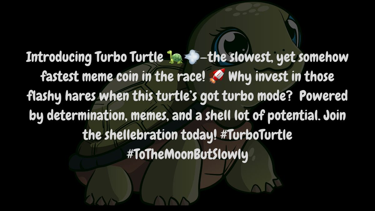 Turbo Turtle tweet media