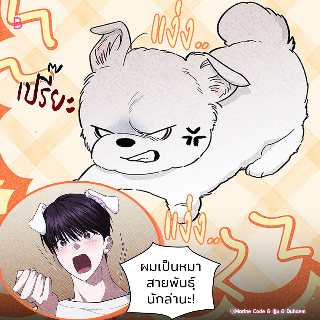 อย่ามาแหยมกับนักล่านะ!😠

เรื่อง <ลูกหมาของฉัน ใครก็ห้ามแตะ!> 🐶

อ่านเลย👉🏻 https://t.co/aXvU4PXBQe

#BL #อัพทุกวันจันทร์ #BOOMTOON https://t.co/m9NjKr0zDp