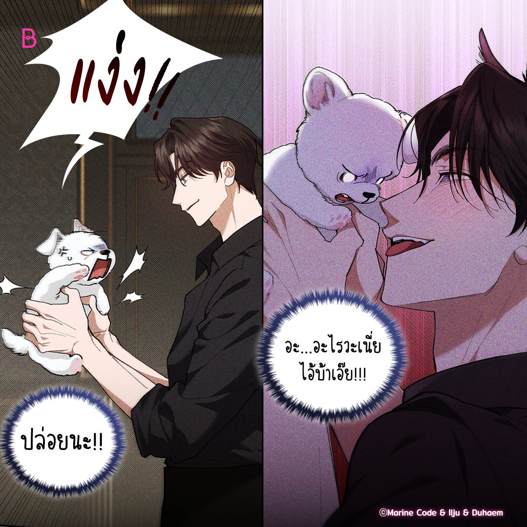 อย่ามาแหยมกับนักล่านะ!😠

เรื่อง <ลูกหมาของฉัน ใครก็ห้ามแตะ!> 🐶

อ่านเลย👉🏻 https://t.co/aXvU4PXBQe

#BL #อัพทุกวันจันทร์ #BOOMTOON https://t.co/m9NjKr0zDp