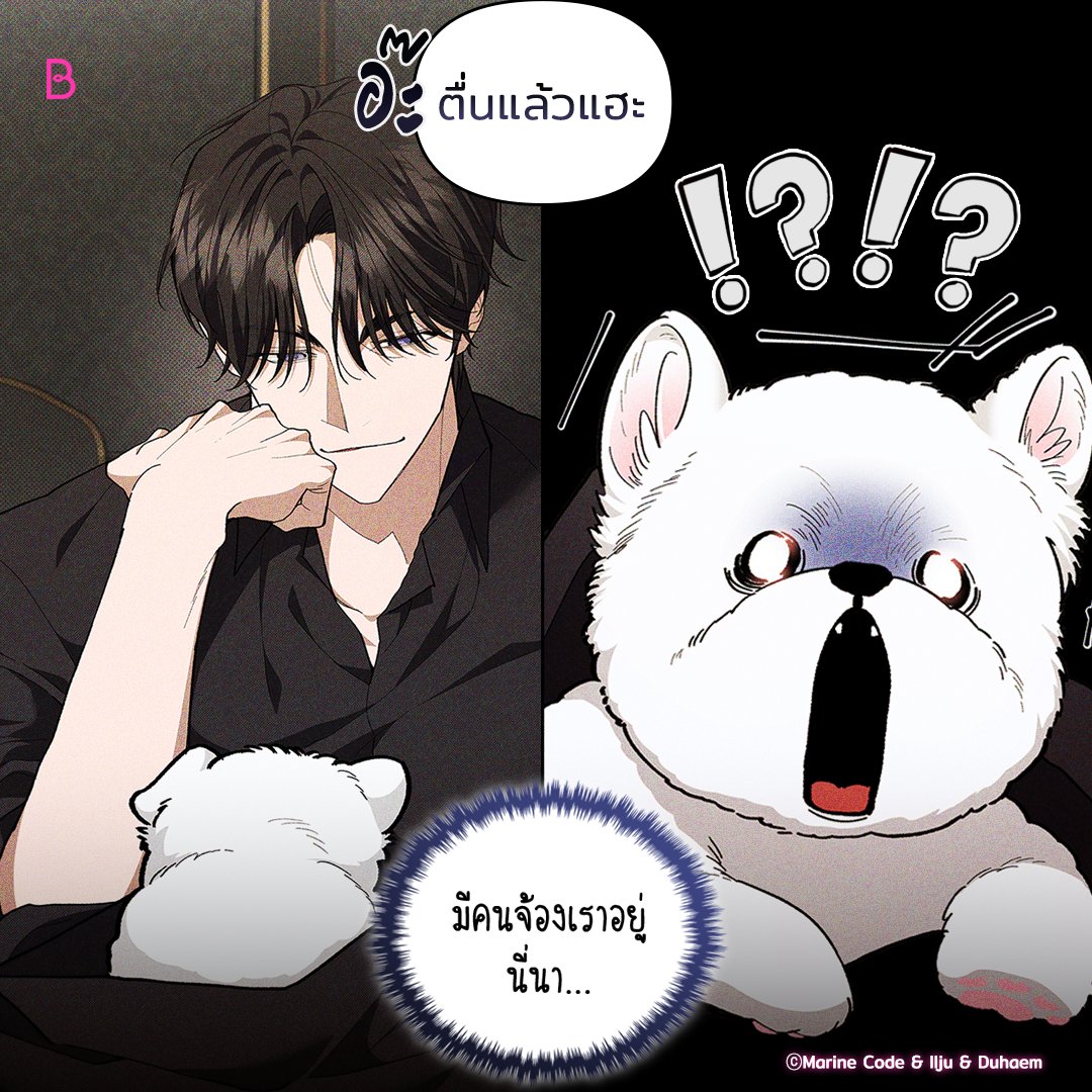 อย่ามาแหยมกับนักล่านะ!😠

เรื่อง <ลูกหมาของฉัน ใครก็ห้ามแตะ!> 🐶

อ่านเลย👉🏻 https://t.co/aXvU4PXBQe

#BL #อัพทุกวันจันทร์ #BOOMTOON https://t.co/m9NjKr0zDp