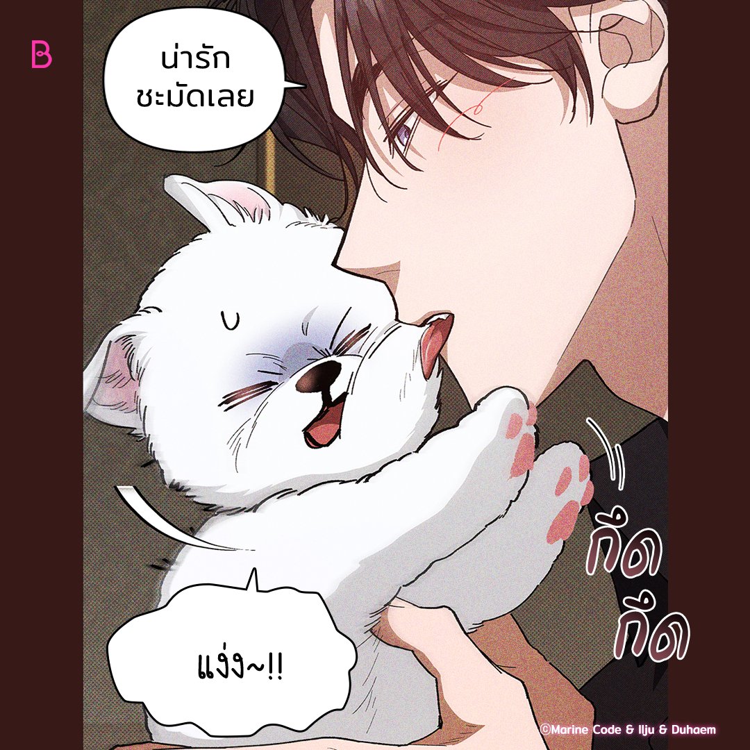 อย่ามาแหยมกับนักล่านะ!😠

เรื่อง <ลูกหมาของฉัน ใครก็ห้ามแตะ!> 🐶

อ่านเลย👉🏻 https://t.co/aXvU4PXBQe

#BL #อัพทุกวันจันทร์ #BOOMTOON https://t.co/m9NjKr0zDp