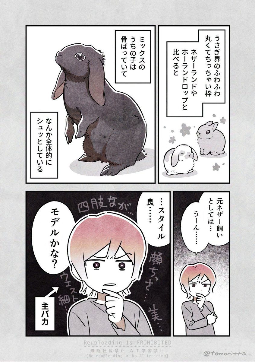 親バカならぬ主バカ

#うさぎがいる暮らし
#漫画が読めるハッシュタグ 