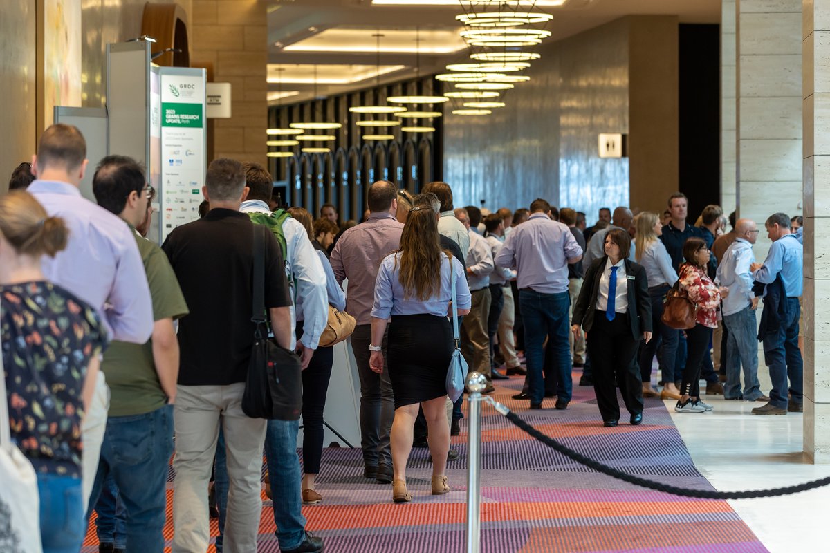 🥁🥁 It's time to register for the #GRDCUpdates in Perth 🥁🥁

The Perth Grains Research Update is back, bigger and better than ever at Crown Perth on 24 and 25 February 2025! <a href="/GrainIndustryWA/">GIWA</a> 

More info and link to register ▶️ bit.ly/4geszVm

#GRDCEvents