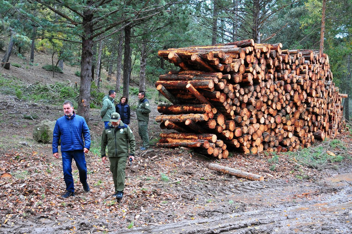 JuntaGranada's tweet photo. El delegado territorial de @MedioAmbAND @ManuelFGranada visita las obras de tratamientos selvícolas que se desarrollan en el Parque Natural Sierra de Huétor para mejorar la seguridad de los visitantes y prevenir incendios forestales https://t.co/jAnuK5juPp