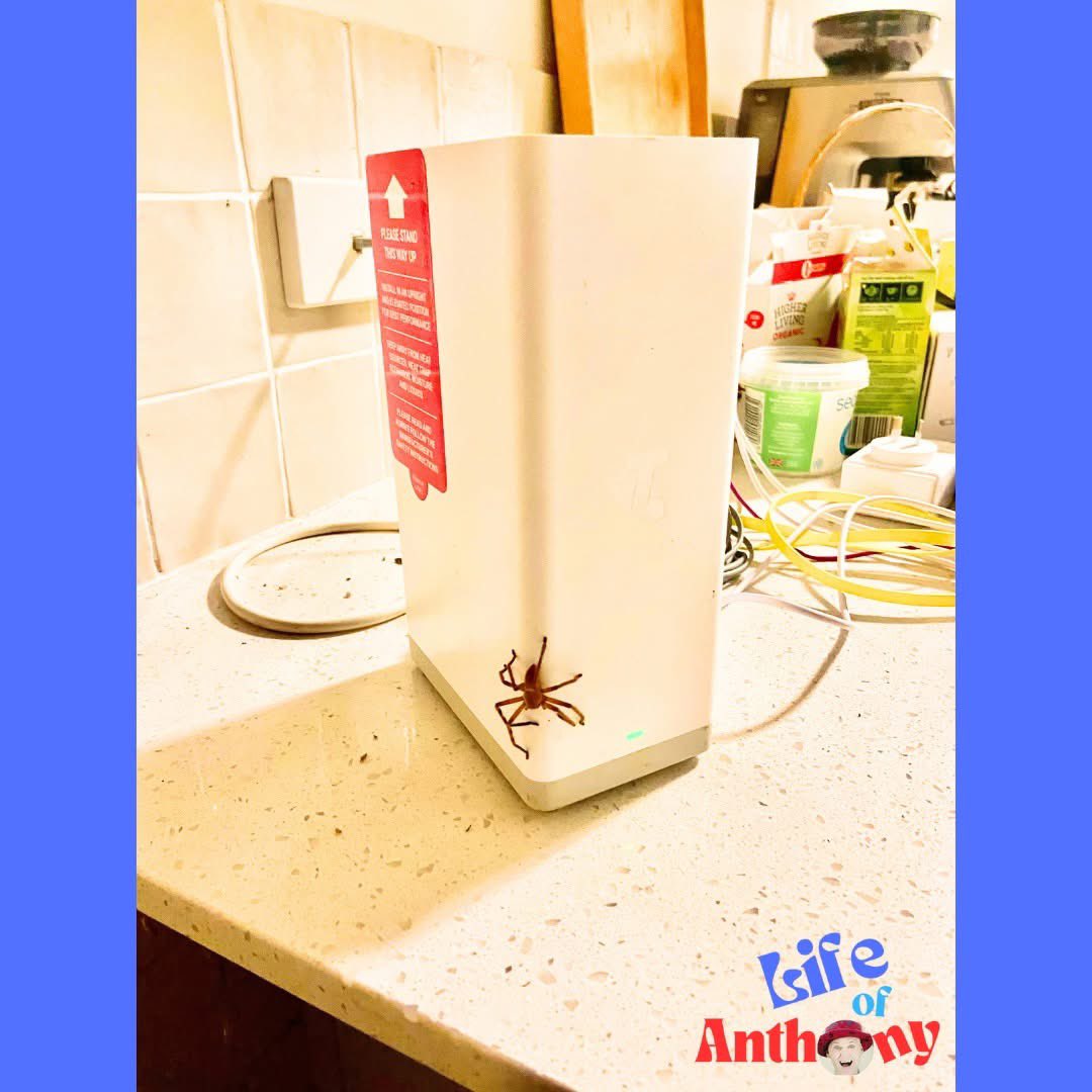 I came home to find this spider clinging to my NBN modem. I guess it really is the World Wide Web!  anthonyackroyd.life