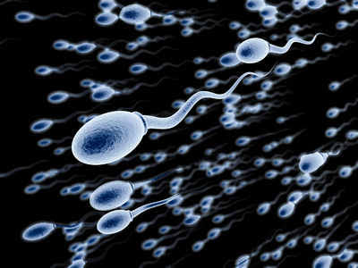 $SPERM Airdrop open 

Drop your Solana $SOL address below, Follow🔔&amp; RT

Every wallet gets 2 00 000.00 $SPERM

Check your wallet in 15 mins !