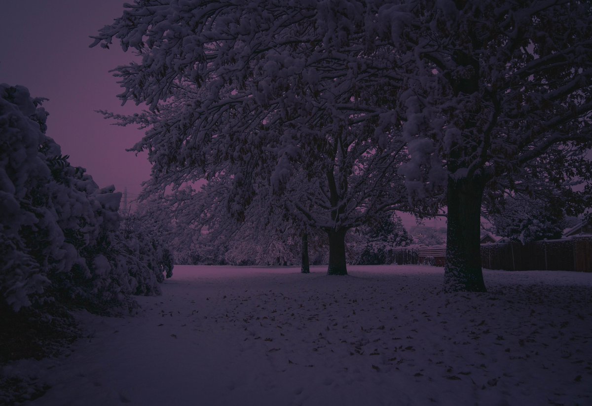 zosphotos's tweet photo. 6am mornings in the snow https://t.co/RnFOUJK5q7