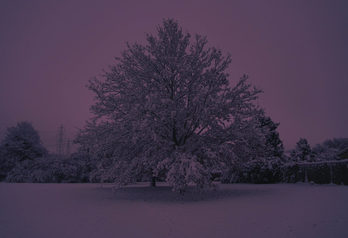 zosphotos's tweet photo. 6am mornings in the snow https://t.co/RnFOUJK5q7
