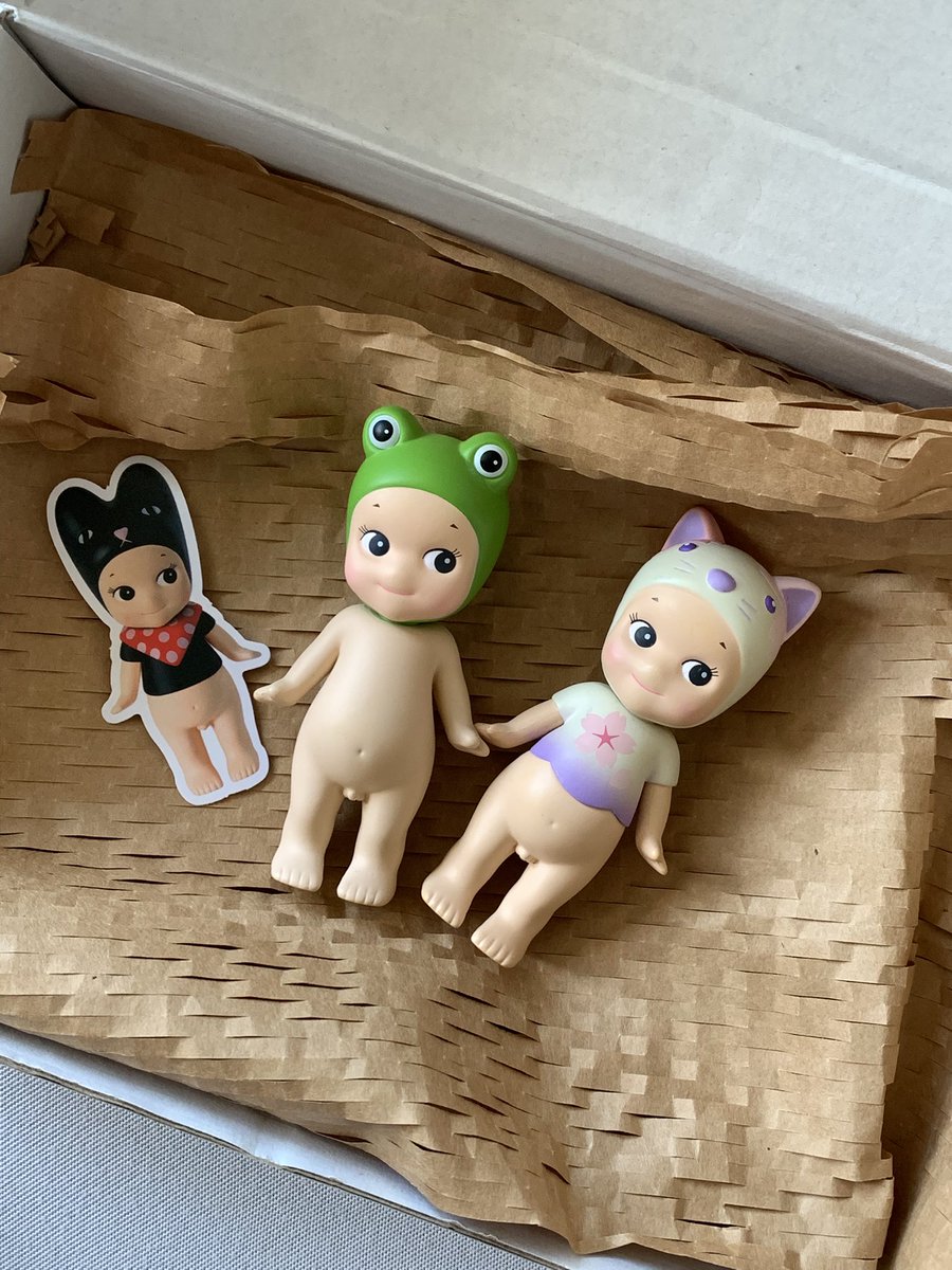 tysm <a href="/jenjaemcart/">chin 🐈</a> !! they came home safe and secured ! i love the way the other box has its plastic pa 😭🫶🐸#thxchin