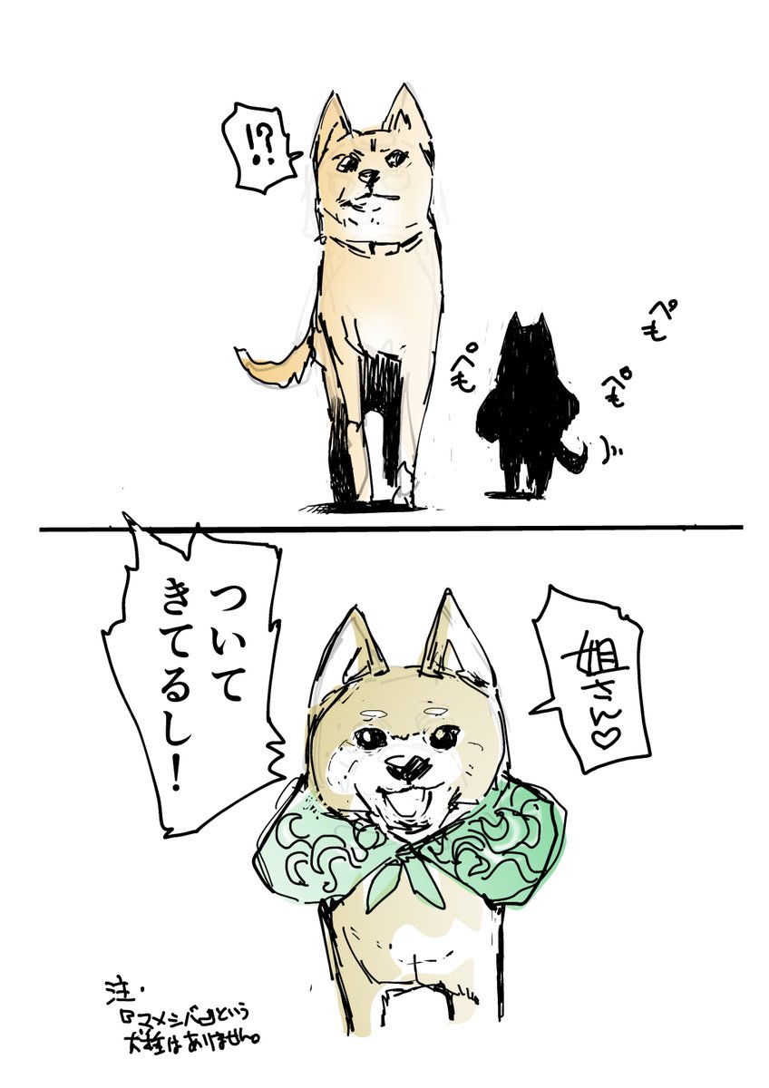 柴犬カフェを飛び出した犬たちの旅 1 