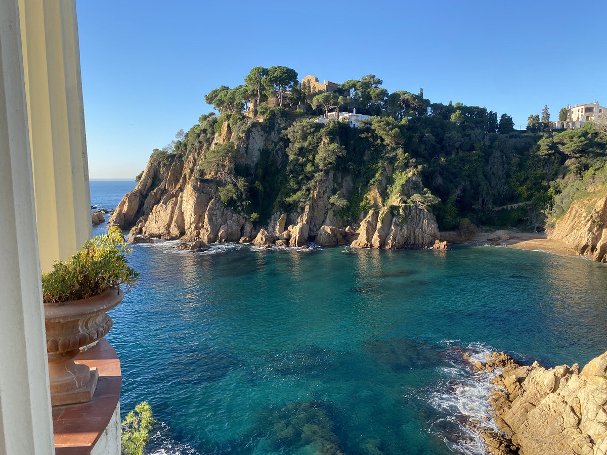 Pere Alzina tweet media