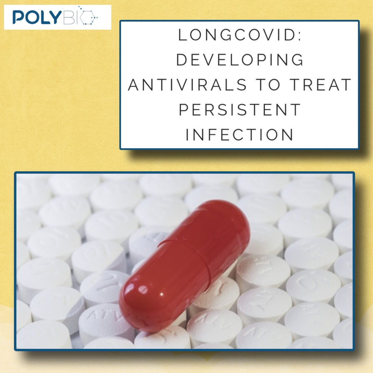 👉Développer des antiviraux pour traiter les infections persistantes dans le #CovidLong 
<a href="/polybioRF/">PolyBio</a> #ApresJ20
