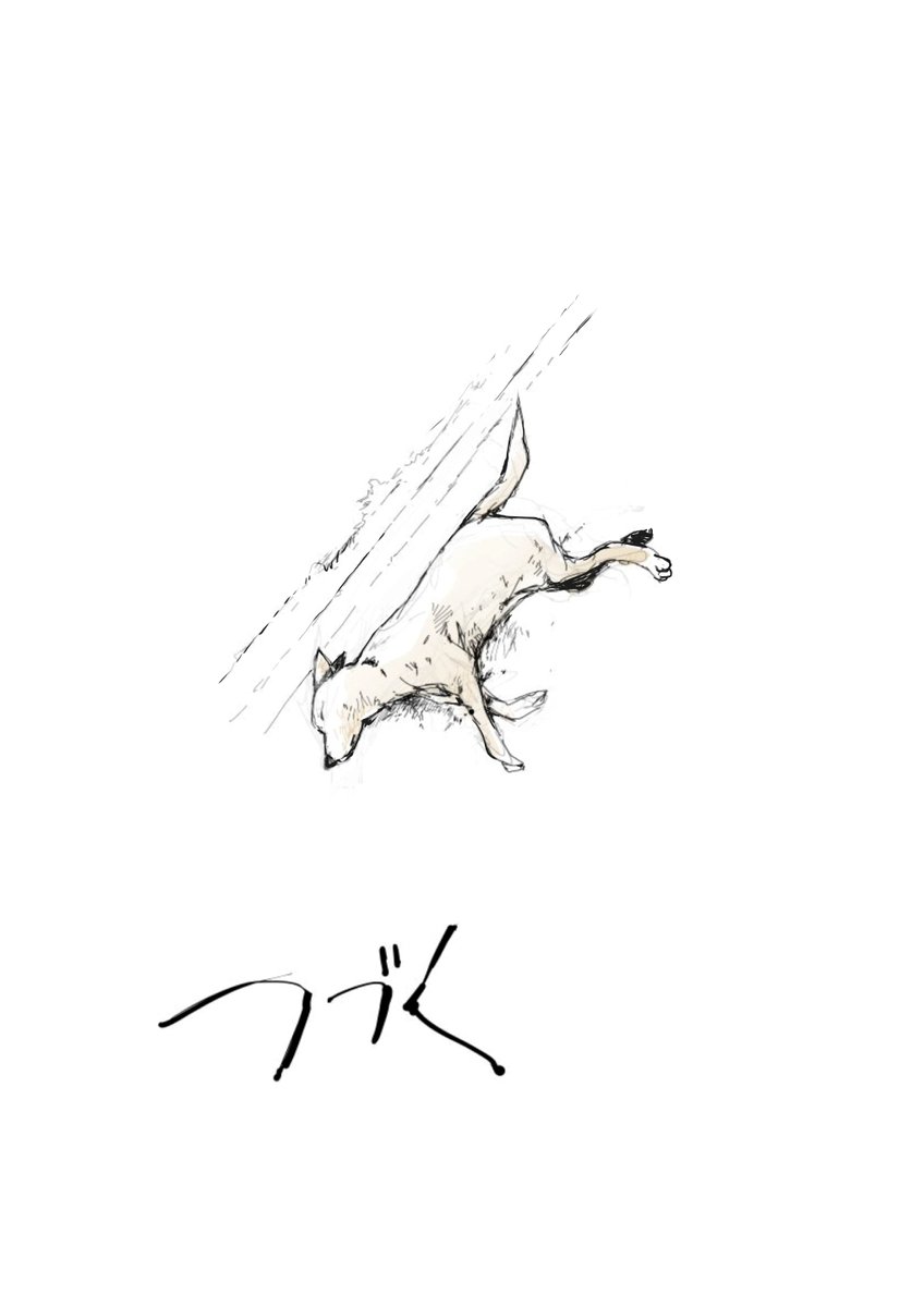柴犬カフェを飛び出した犬たちの旅 5 