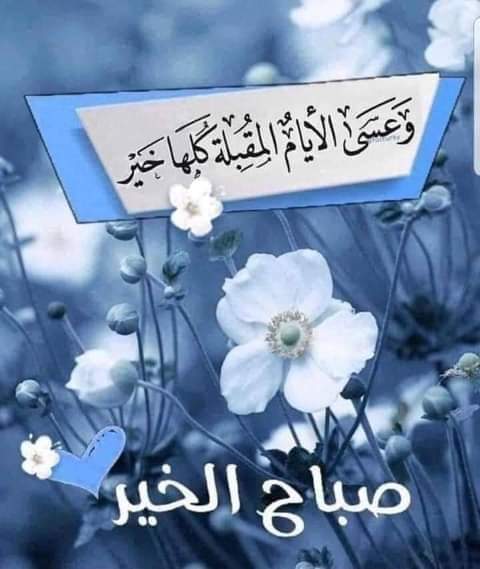 fseemFstm's tweet photo. صباح الخير https://t.co/8nlucq7WdQ