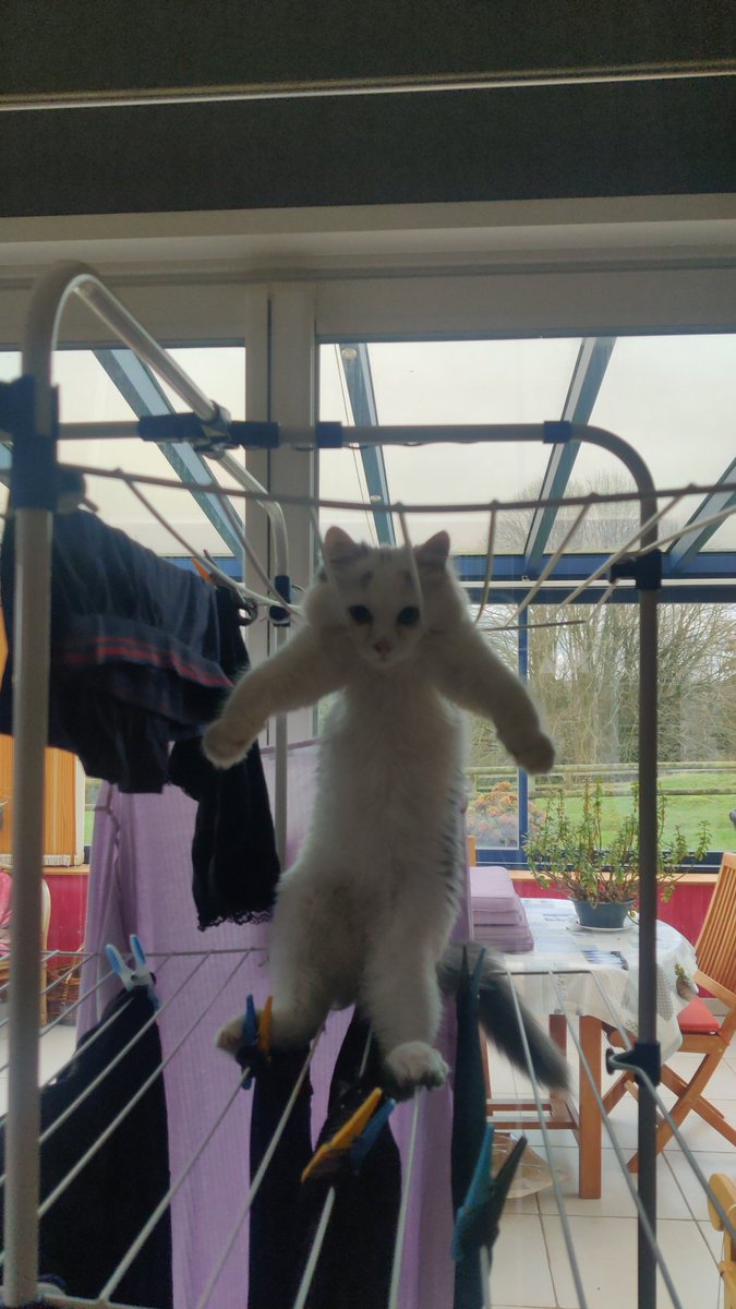 Nahjoko's tweet image. Je vais peter un cable