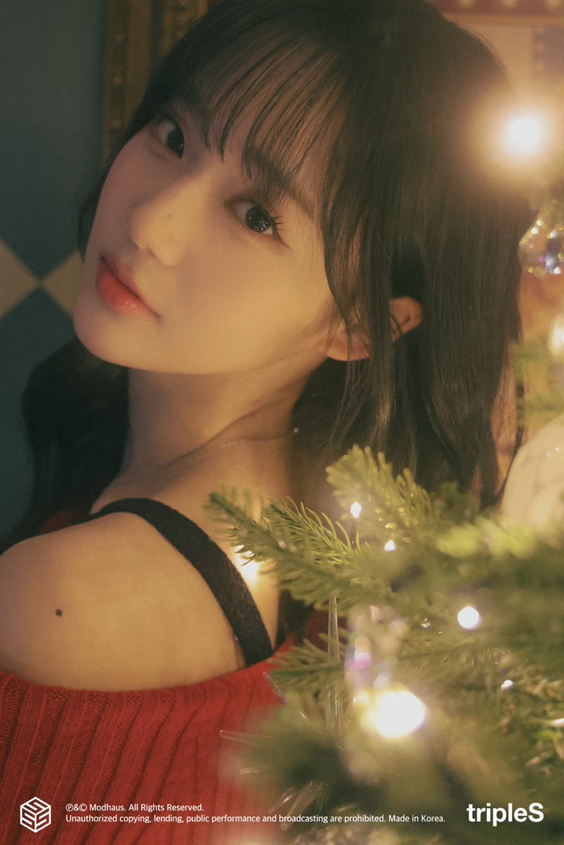 [tripleS] 서연의 크리스마스 스냅

naver.me/G8s3IgdG

#tripleS #트리플에스 #トリプルS
#トリプルエス #トエス
#SeoYeon #서연 #ソヨン