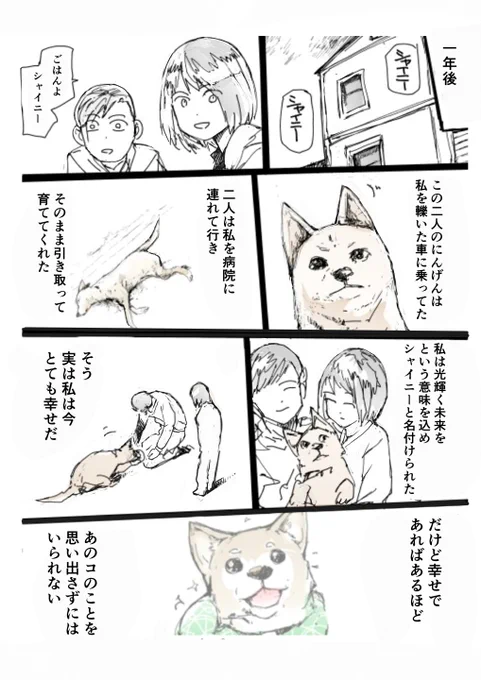 柴犬カフェを飛び出した犬たちの旅 6 