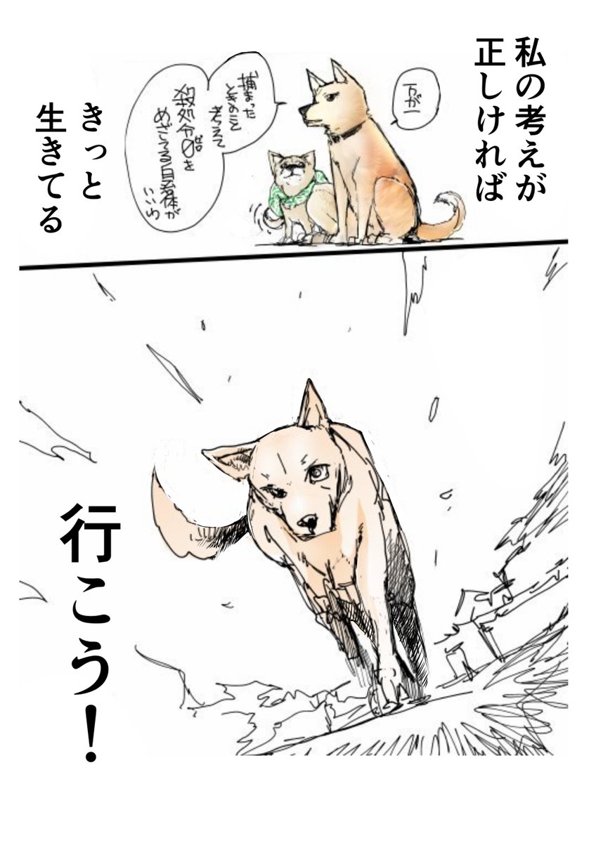 柴犬カフェを飛び出した犬たちの旅 6 