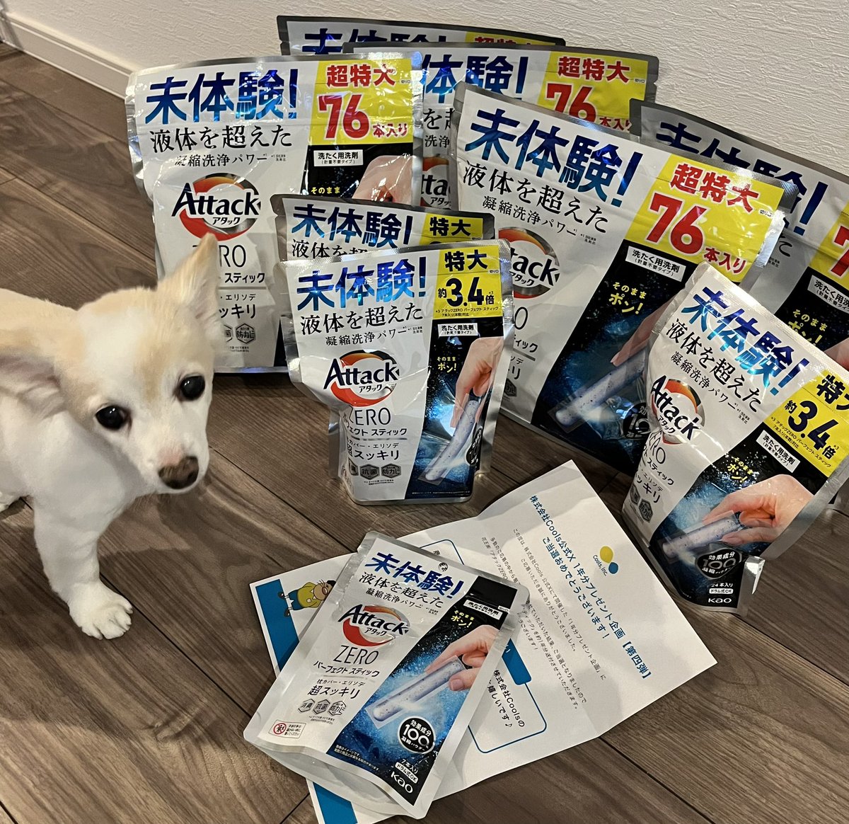 小麦 tweet media