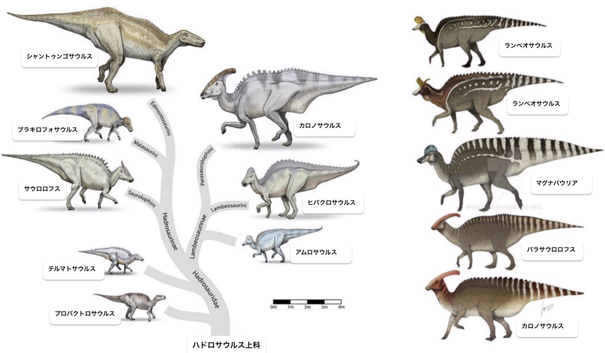 シャントゥンゴサウルス - Search / X