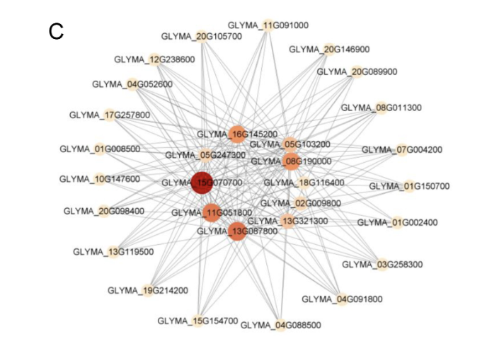 This study reveals how energy metabolism in soybean roots adapts to combined low phosphorus and salt stress. Key genes and pathways were identified, paving the way for improving crop resilience.

#PlantScience #SoybeanResearch #StressTolerance**

bit.ly/3CYPDc4