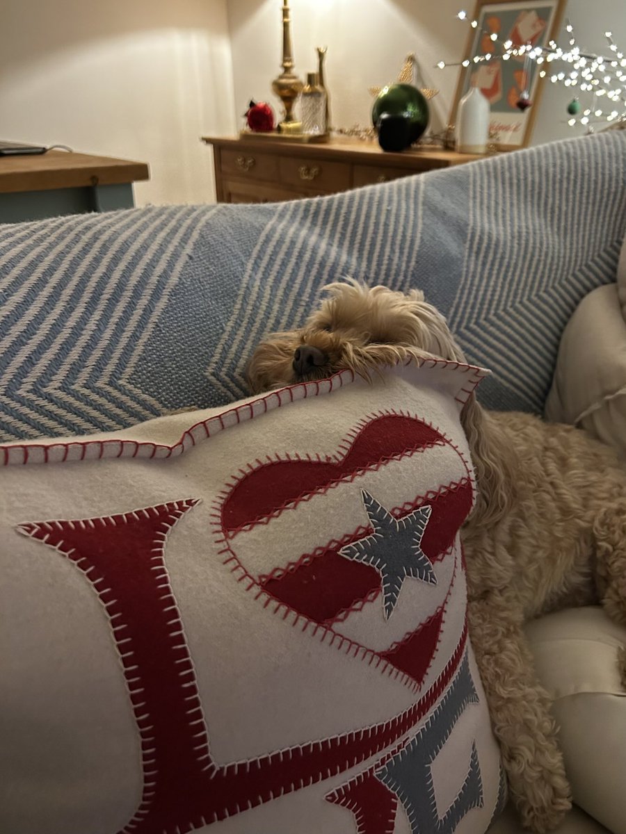 TheHoneyTails's tweet image. Humans probably don’t understand this, but sometimes the #PupComfy positions are the last thing you’d expect 
#LetSleepingPupsLie 
#WorksForMe