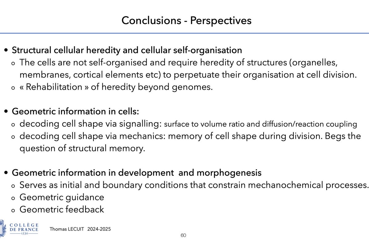 TLecuitLab (@lecuitlab) on Twitter photo See ⬇️ link to pdf/video of lecture <a href="/cdf1530/">Collège de France</a> on Structural & geometric information 🤩. An opportunity to broaden the concept of heredity beyond genomes.
Tomorrow, last lecture of this year on Biological information, devoted to Memory & learning in cells.
tinyurl.com/2y7hpu2r See ⬇️ link to pdf/video of lecture <a href="/cdf1530/">Collège de France</a> on Structural & geometric information 🤩. An opportunity to broaden the concept of heredity beyond genomes.
Tomorrow, last lecture of this year on Biological information, devoted to Memory & learning in cells.
tinyurl.com/2y7hpu2r