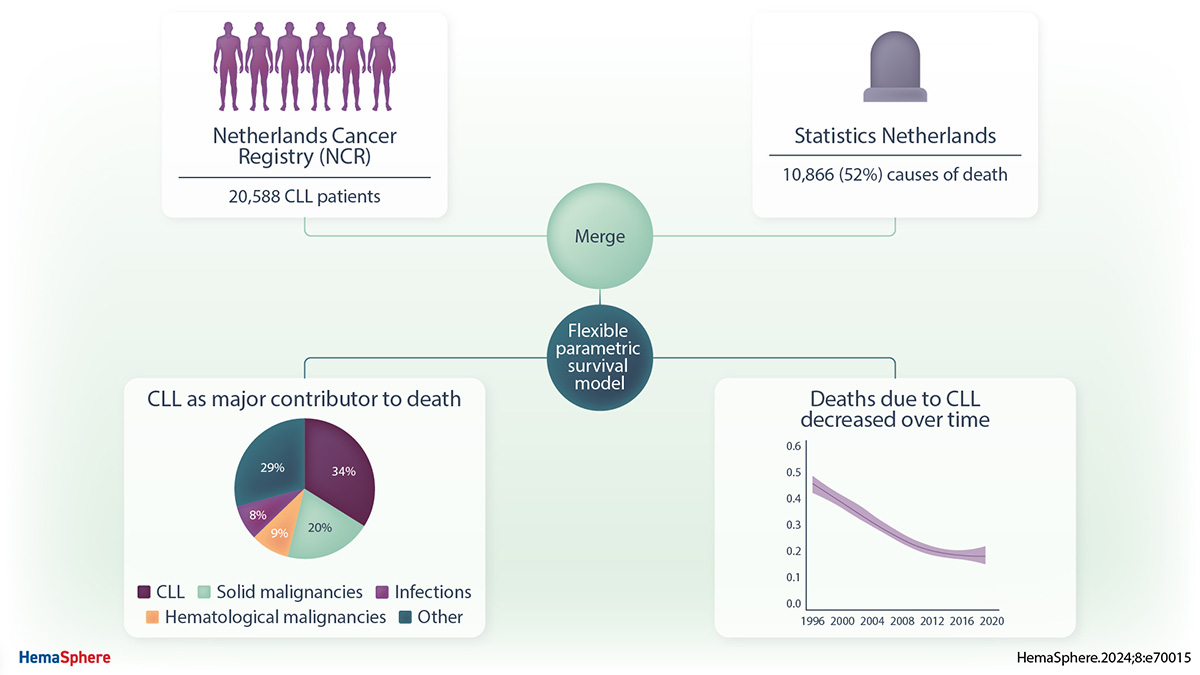 This population-based study examined COD in 20K+ CLL patients in the Netherlands between 1996 and 2020. Findings reveal CLL as the predominant COD, around 40% of relative mortality, with a declining 5-year death probability from 16.8% in 1996–2002 to 7.6% in 2010–2020. This