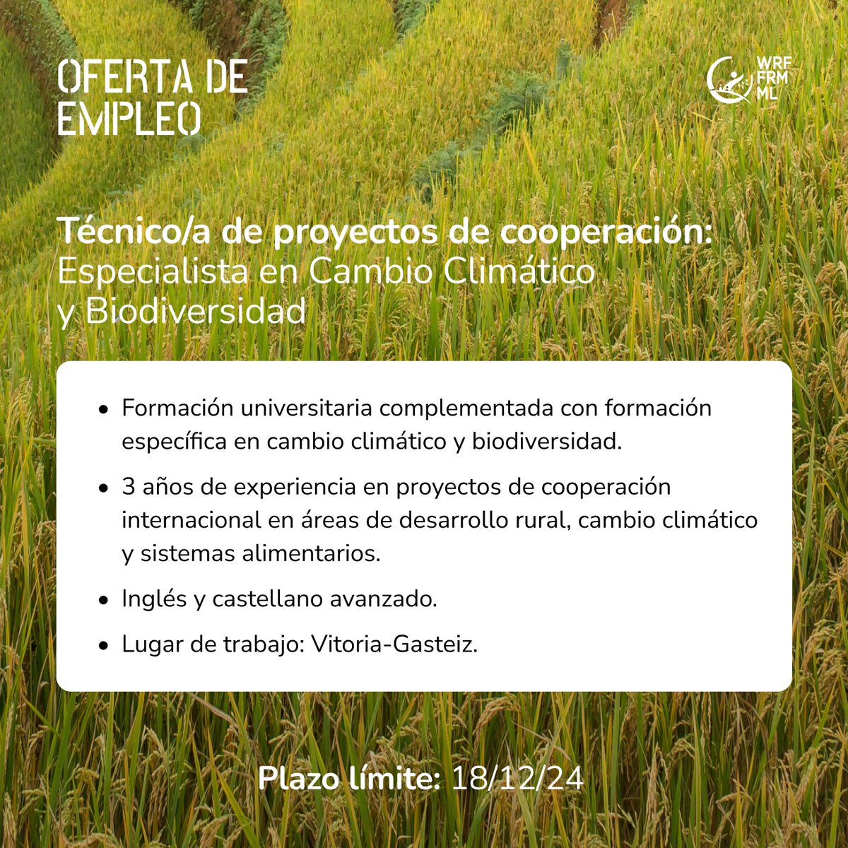 WorldRuralForum's tweet photo. En el #ForoRuralMundial estamos buscando a una persona especialista en #CambioClimático y #Biodiversidad para el puesto de Técnico/a de proyectos de cooperación. Revisa la oferta completa en 👉 https://t.co/22wl65VqzH

#FRM #OfertaDeEmpleo #OfertaEmpleo https://t.co/D7f8VX0gVv