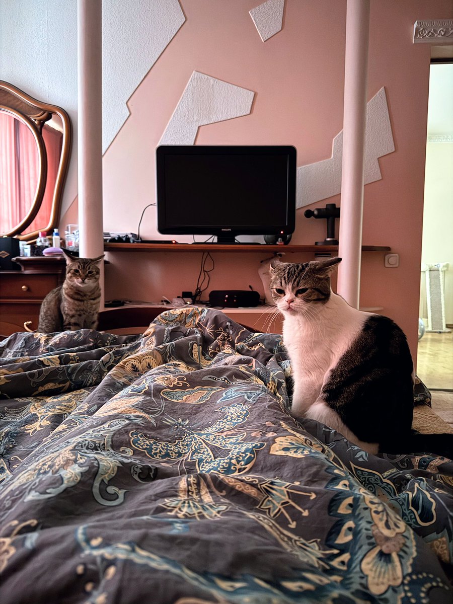 Утро доброе!
Горшки не убраны, вставай давай