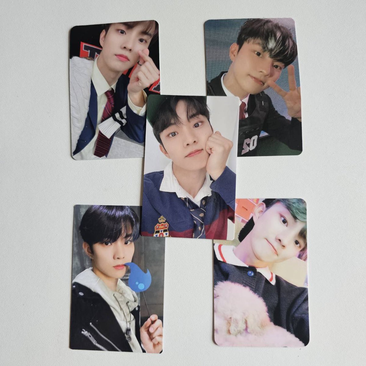 TMYmy27's tweet photo. pls kindly rt 

— ✿ กองละ 50 ฿ / ค่าส่ง 35 ฿
สนใจ DM มาสอบถามก่อนได้ค่ะ

 #ตลาดนัดtheboyz
#ตลาดนัดหนุ่มดอกไม้ https://t.co/Ek6lCkv4nj