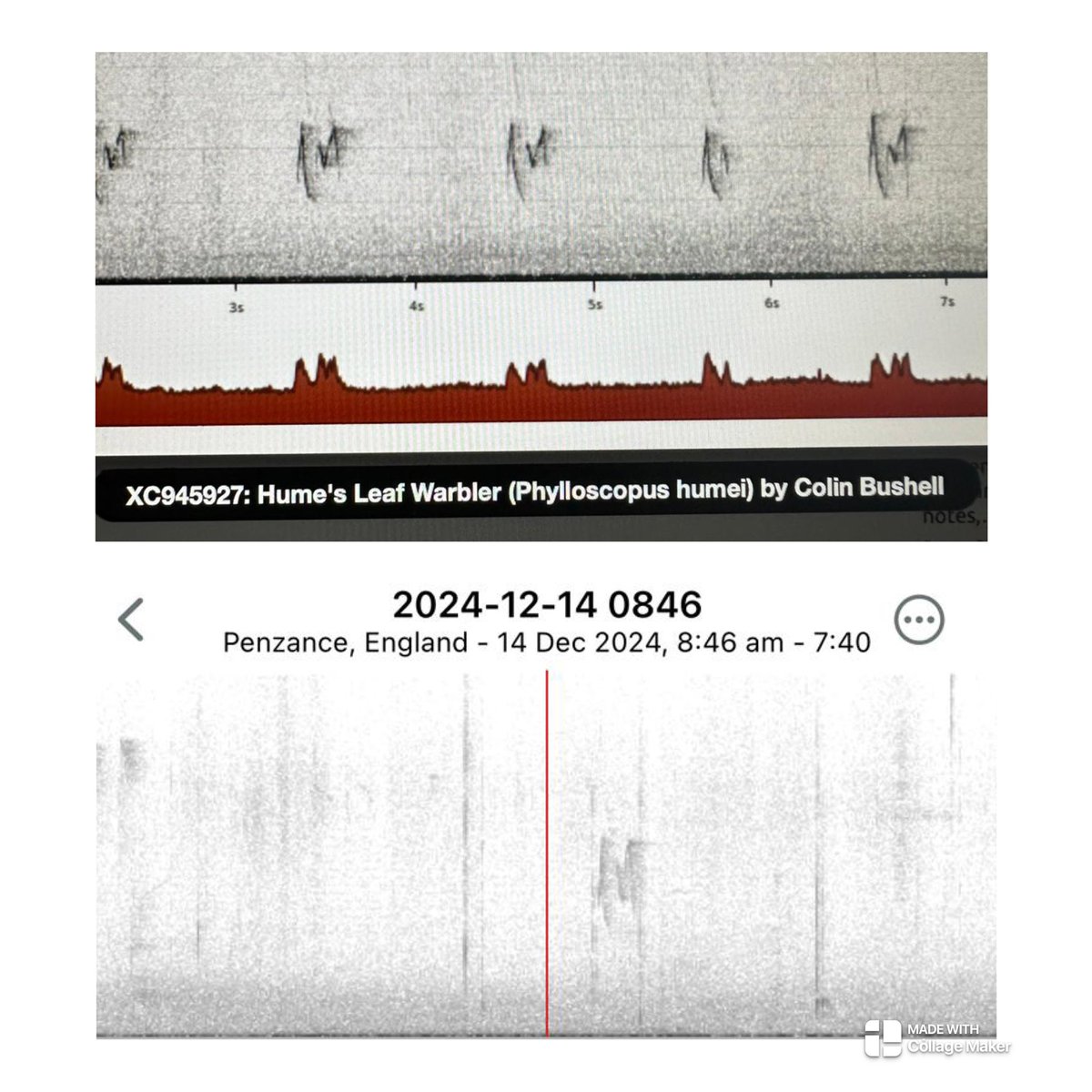 Steve Rogers tweet media