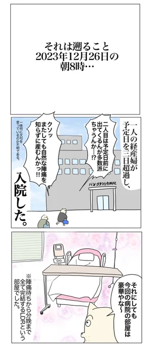 二人目激痛分娩出産レポ(1/6) 