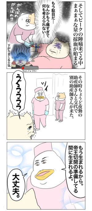 二人目激痛分娩出産レポ(4/6) 