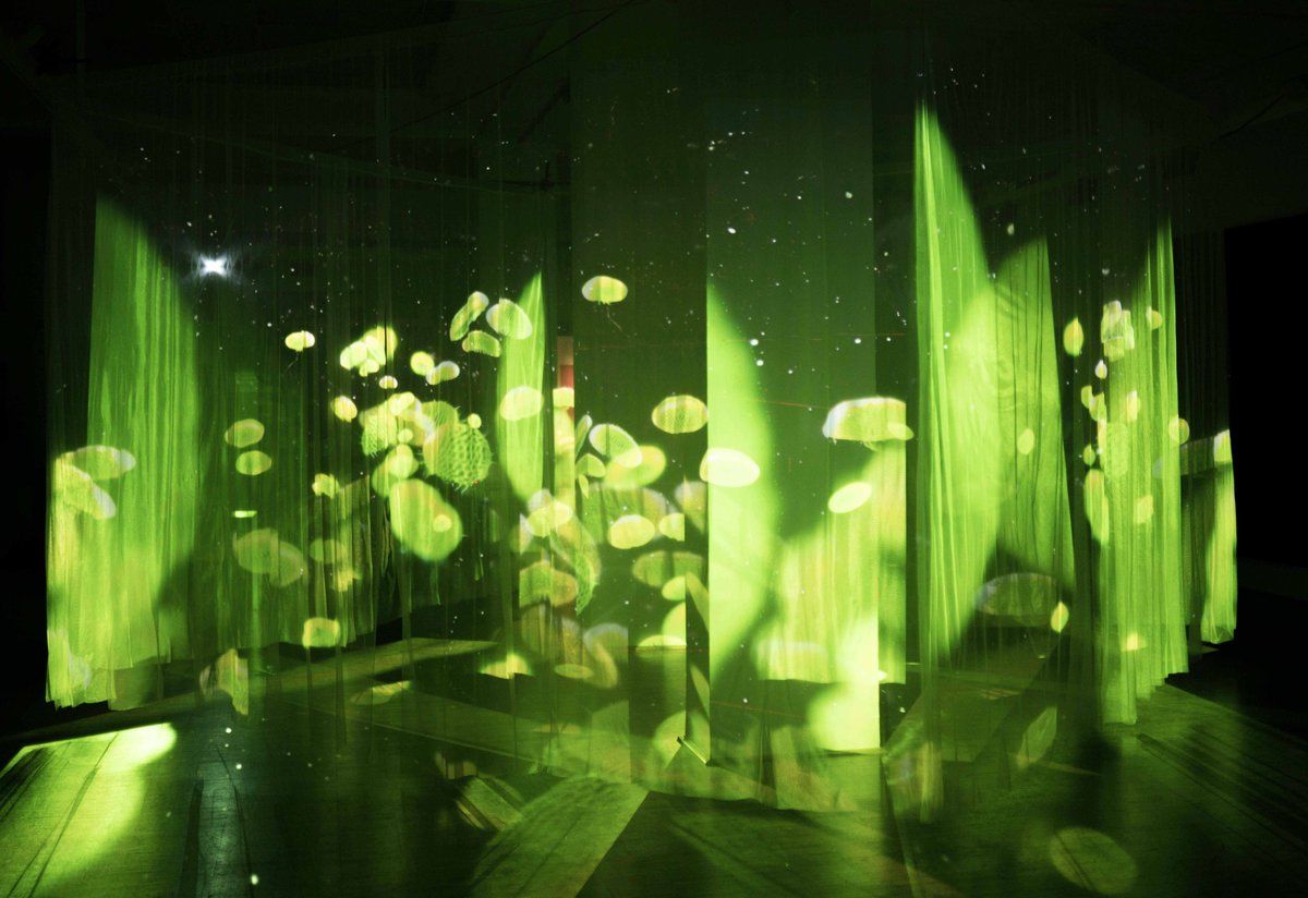 Engage4BIO's tweet photo. 🌟 𝐄𝐱𝐩𝐞𝐫𝐢𝐞𝐧𝐜𝐞 𝐭𝐡𝐞 𝐇𝐢𝐝𝐝𝐞𝐧 𝐖𝐨𝐫𝐥𝐝 𝐨𝐟 𝐒𝐨𝐢𝐥 🌱
The Into Soil video and light installation, designed by  Engage4BIO team at @MOMEBUDAPEST, uses AI technology to reveal the unseen life within soil.
#IntoSoil #AIArt #Engage4BIO #MOME  #ArtMeetScience https://t.co/WK5KjSEtVO