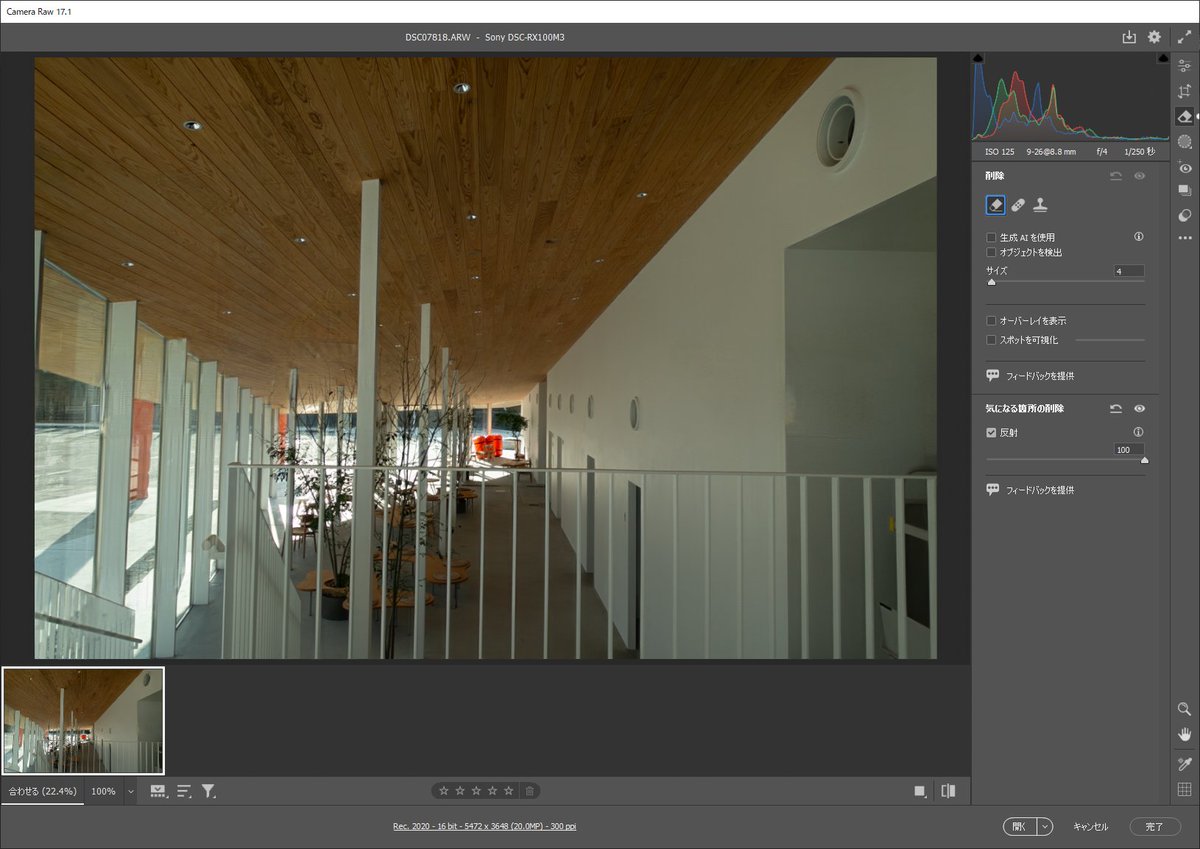 せっかくなので新しく撮ってきて処理してみたらえぐいくらいきれいに浮き上がって泣いちゃった ちなみにRAWからじゃないと処理できないのでご安心