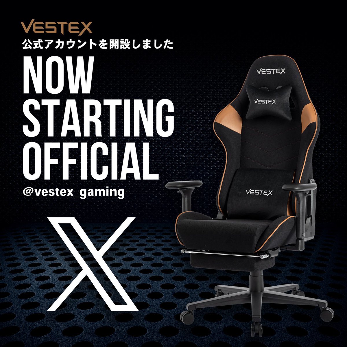 VESTEX®︎ （ベステックス）公式💺 (@vestex_gaming) / Posts / X