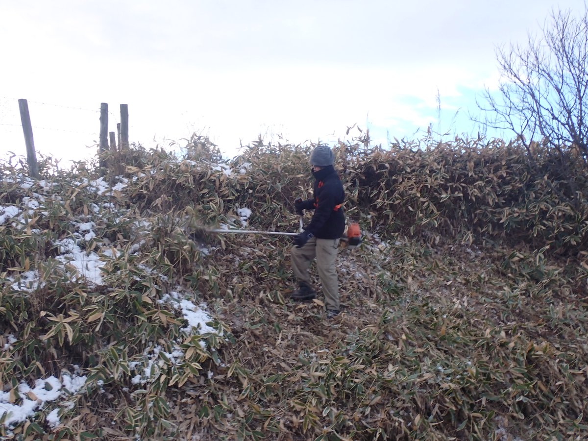 認定NPO法人日本チョウ類保全協会JapanButterflyConservationSociety tweet media