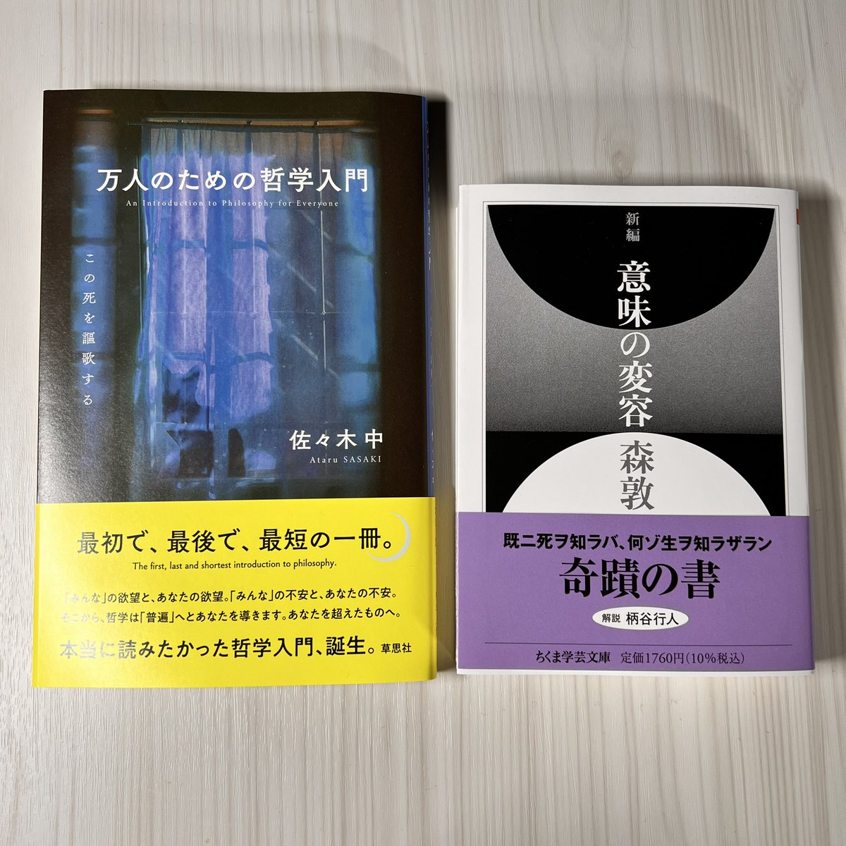 名著 意味の変容 森敦 単行本 哲学 Amazon.co.jp: 意味の変容 : 森 敦: 本