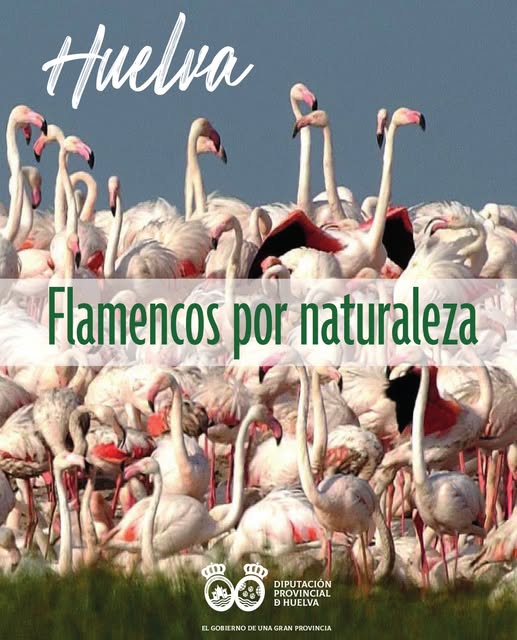 DipuHU's tweet image. 🚨 Última Semana!!
💃🩷🦩Convocatoria para la participación en el Stand de @DipuHU en la XXX  @simofsevilla, Semana Internacional de la #ModaFlamenca 2025
#Huelva...#Flamencospornaturaleza
🗓️Inicio plazo #4diciembre
🗓️Fin plazo #19diciembre
⏹️acortar.link/oTCIFL