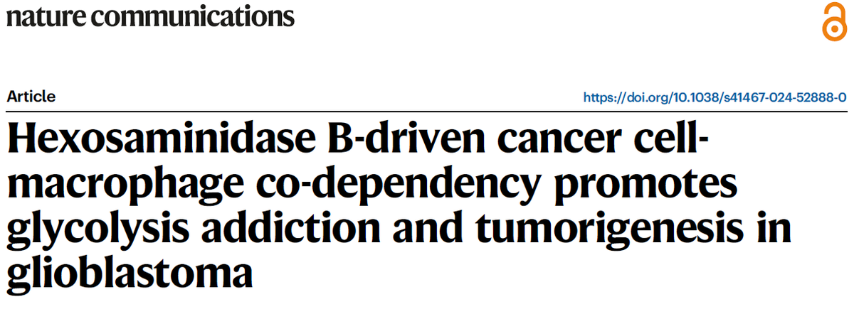 TissuegnosticsA's tweet photo. 🧠 Breakthrough in Brain Cancer Research!
New study in Nature Communications unveils how cancer cells communicate with immune cells in glioblastoma, using cutting-edge multiplexed imaging.
Discovery of HEXB protein opens new treatment possibilities.

#CancerResearch #BrainCancer https://t.co/cHt3IgH1FF