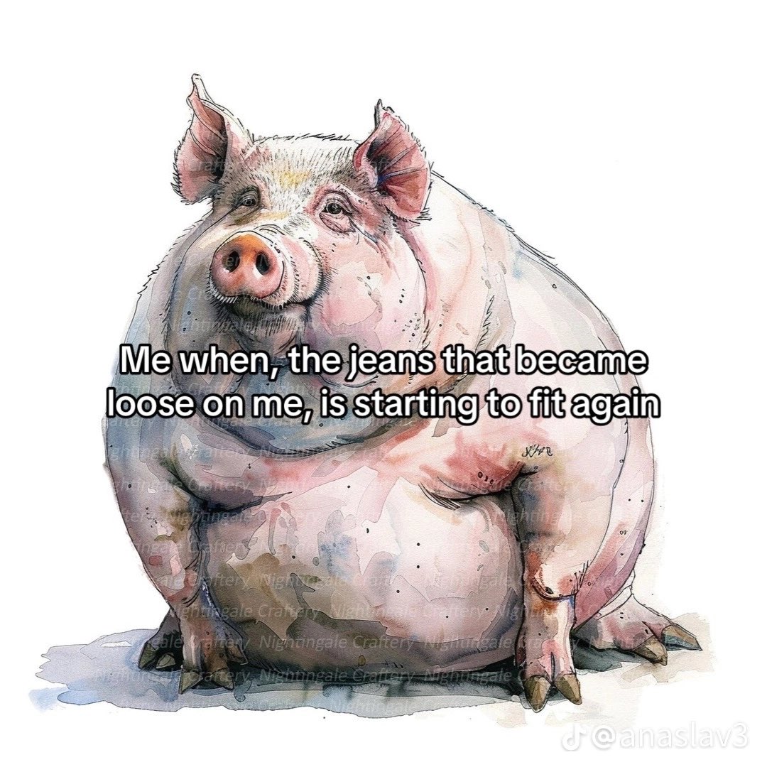 murphys_is_law's tweet image. 