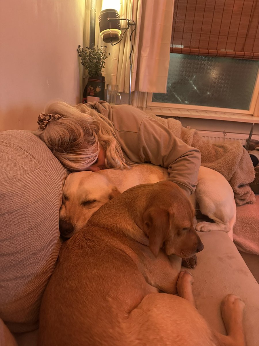 Liv 🌲 tweet media