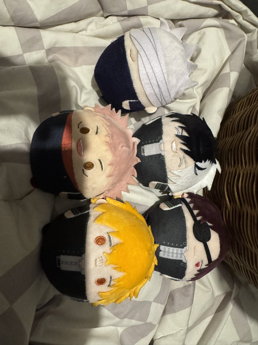 SHIKIMORI180347's tweet photo. กองเหมาฟุวะ 1500 บาท ทุกน้องเป็นมือ2 สนใจสอบถามได้ครับไม่ได้เก็บแล้วครับ  #ตลาดนัดนักเลงลม  #ตลาดนัดจจส #ตลาดนัดjjk https://t.co/hV5YOBlVaQ