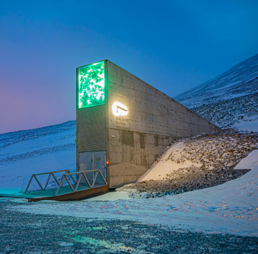 The Procrastinator Times tweet media