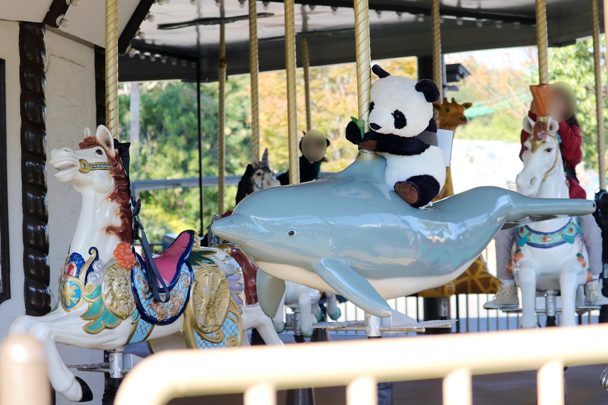 メリーゴーランドを楽しむパンダ🐼🎶 #アドベンチャーワールド