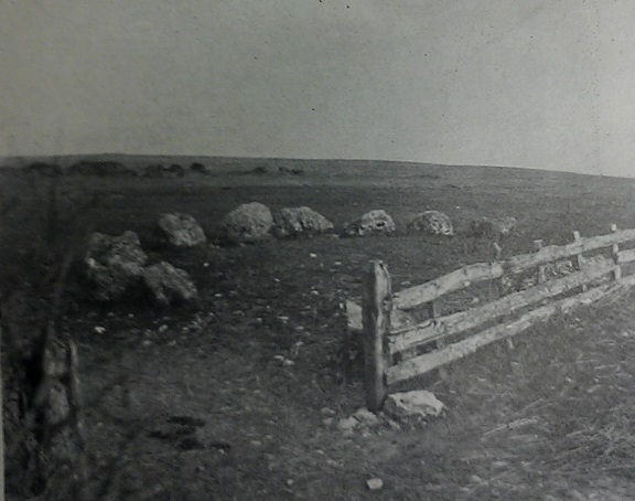 PastParticipate tweet media