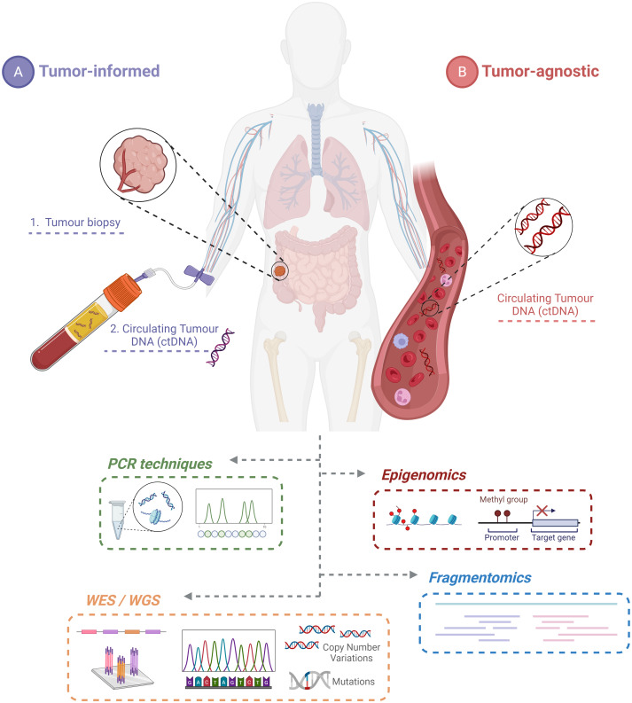 Annals of Oncology (@annals_oncology) on Twitter photo 📢New review in press: Minimal residual disease in colorectal cancer. Tumor-informed versus tumor-agnostic approaches: unraveling the optimal strategy <a href="/AndresC27622123/">Andres Cervantes</a>
doi.org/10.1016/j.anno… 📢New review in press: Minimal residual disease in colorectal cancer. Tumor-informed versus tumor-agnostic approaches: unraveling the optimal strategy <a href="/AndresC27622123/">Andres Cervantes</a>
doi.org/10.1016/j.anno…